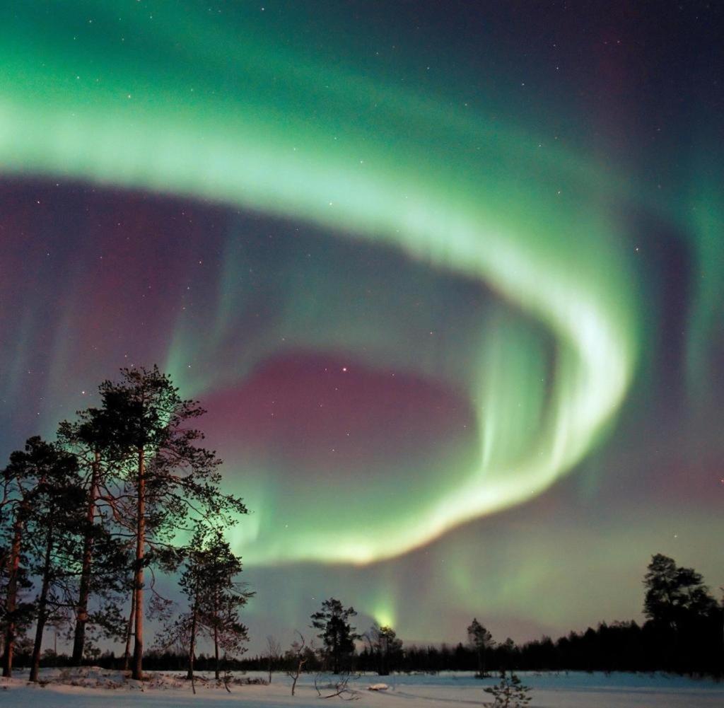Glamping Taelt/Tent - Glampingzelt -Lodge - Sjoeutsikt Blattniksele Екстер'єр фото